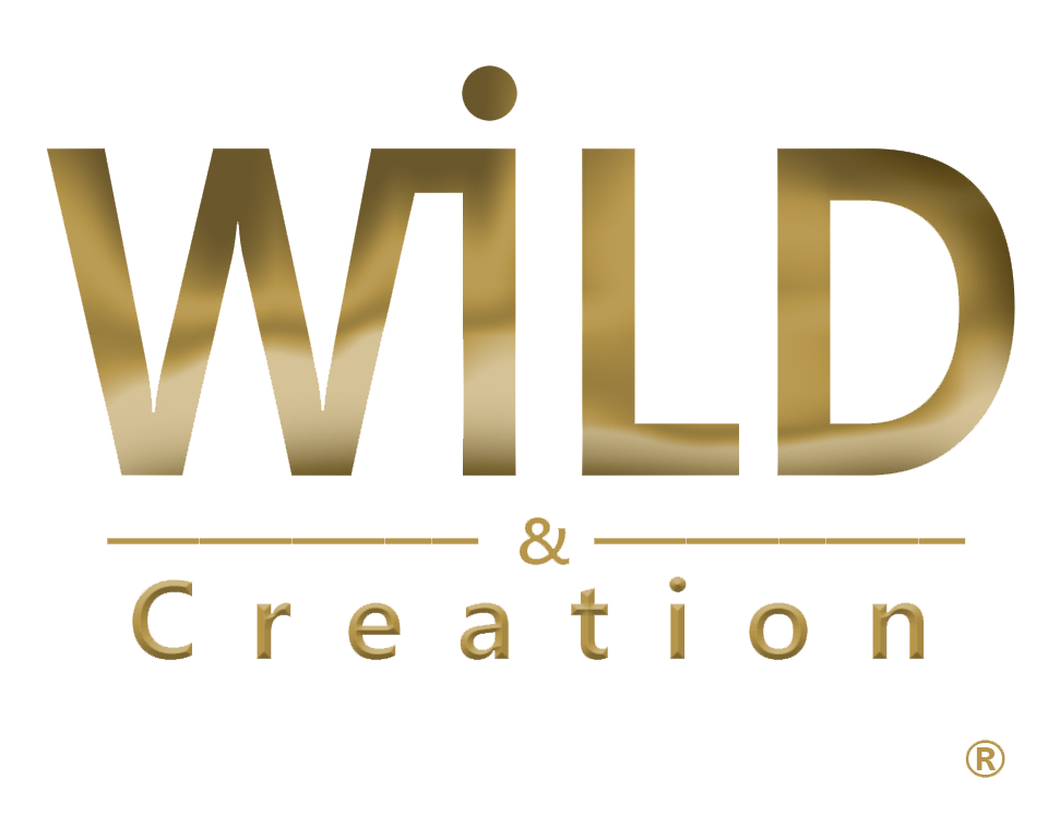 wild creation